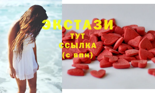 гидра Гусиноозёрск