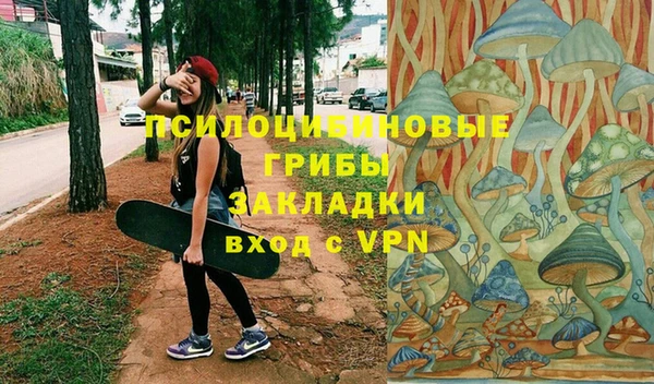 гидра Гусиноозёрск