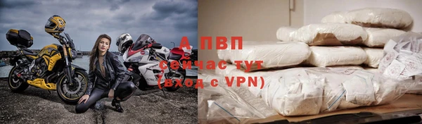 прущие грибы Гусь-Хрустальный
