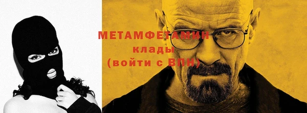 гидра Гусиноозёрск