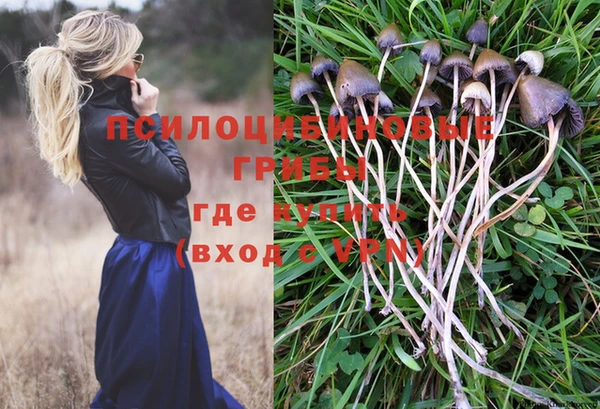 прущие грибы Гусь-Хрустальный