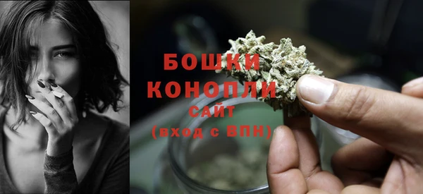 прущие грибы Гусь-Хрустальный