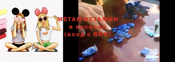 прущие грибы Гусь-Хрустальный